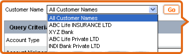 Select Customer Name