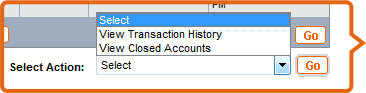 Select Action to view a mini statement, chequestatus, detailed transaction history request for a chequebook and also to view closed account